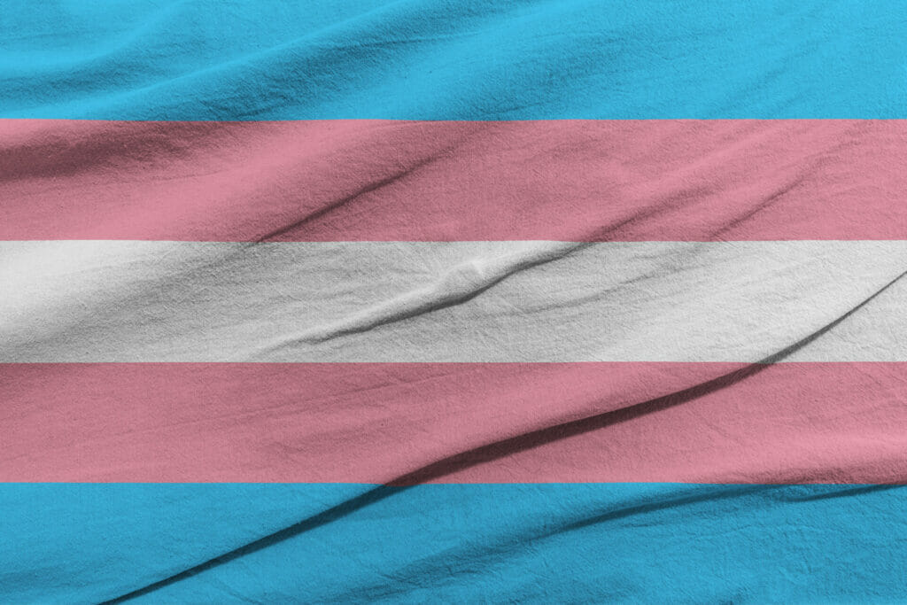 Transgender Flag